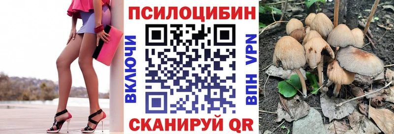 Галлюциногенные грибы MAGIC MUSHROOMS  закладка  Звенигород 