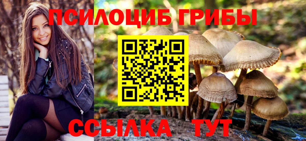 Галлюциногенные грибы мицелий Звенигород