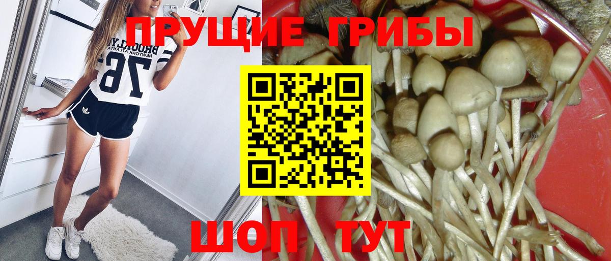 Галлюциногенные грибы прущие грибы  Псилоцибиновые грибы мухоморы  Звенигород 