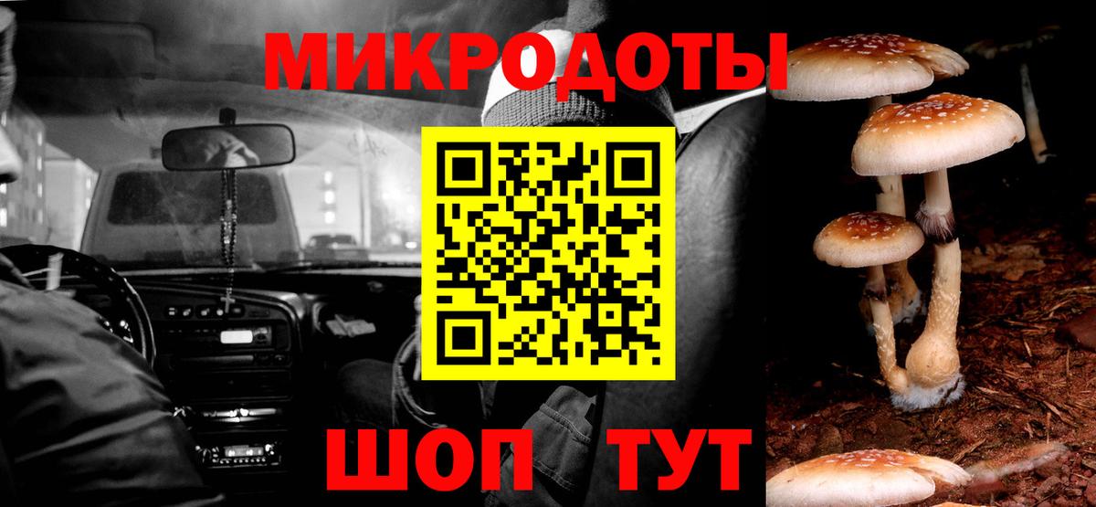 Псилоцибиновые грибы MAGIC MUSHROOMS  Вход с VPN  Звенигород 