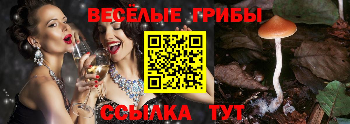 Псилоцибиновые грибы MAGIC MUSHROOMS  Звенигород 