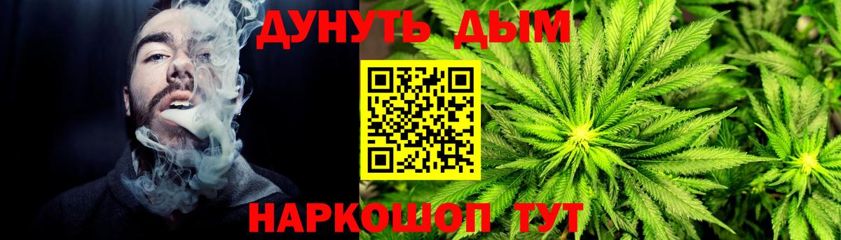 Бошки Шишки конопля  МАРИХУАНА план  Каннабис планчик  Звенигород 